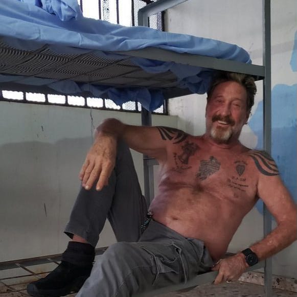 The Jeffrey Epstein & John McAfee Connection. Why People Believe They Were Assasinated?
