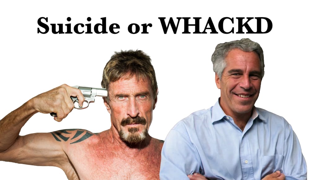 The Jeffrey Epstein & John McAfee Connection. Why People Believe They Were Assasinated? post image